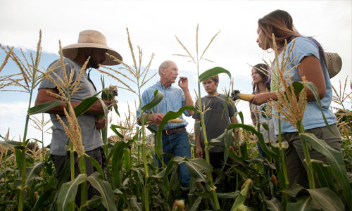 Photo of agriculture class in field.