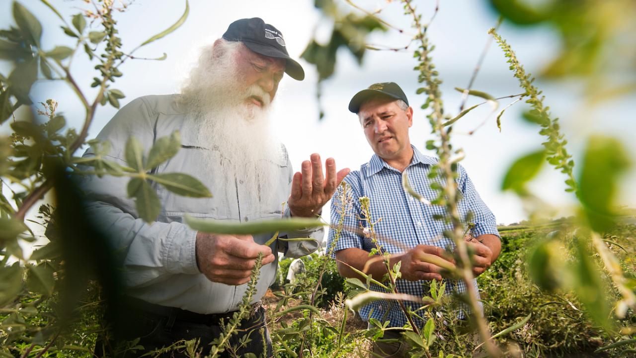 Man with white beard in field.
