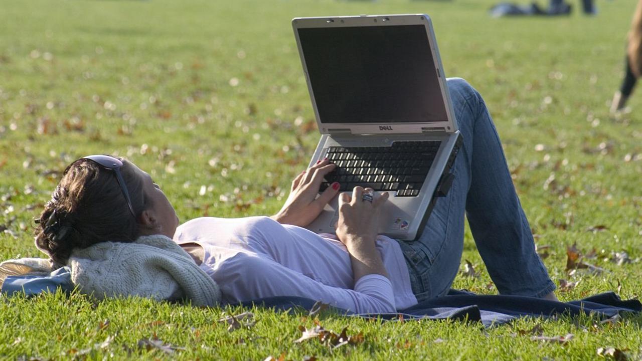 Woman On Laptop