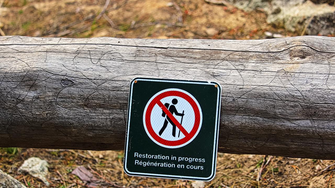 A fallen tree with a trail closure sign